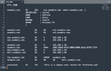 Several DNS records in a zone file