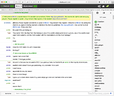 Screenshot of an IRC Session in KiwiIRC