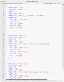 Several JSON objects using multiple data types
