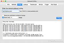 Fast pings under 30 ms to TechTerms.com
